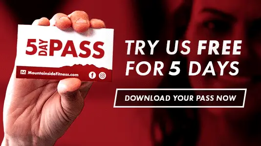 5 day pass
