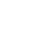 Mountainside Fitness Logo