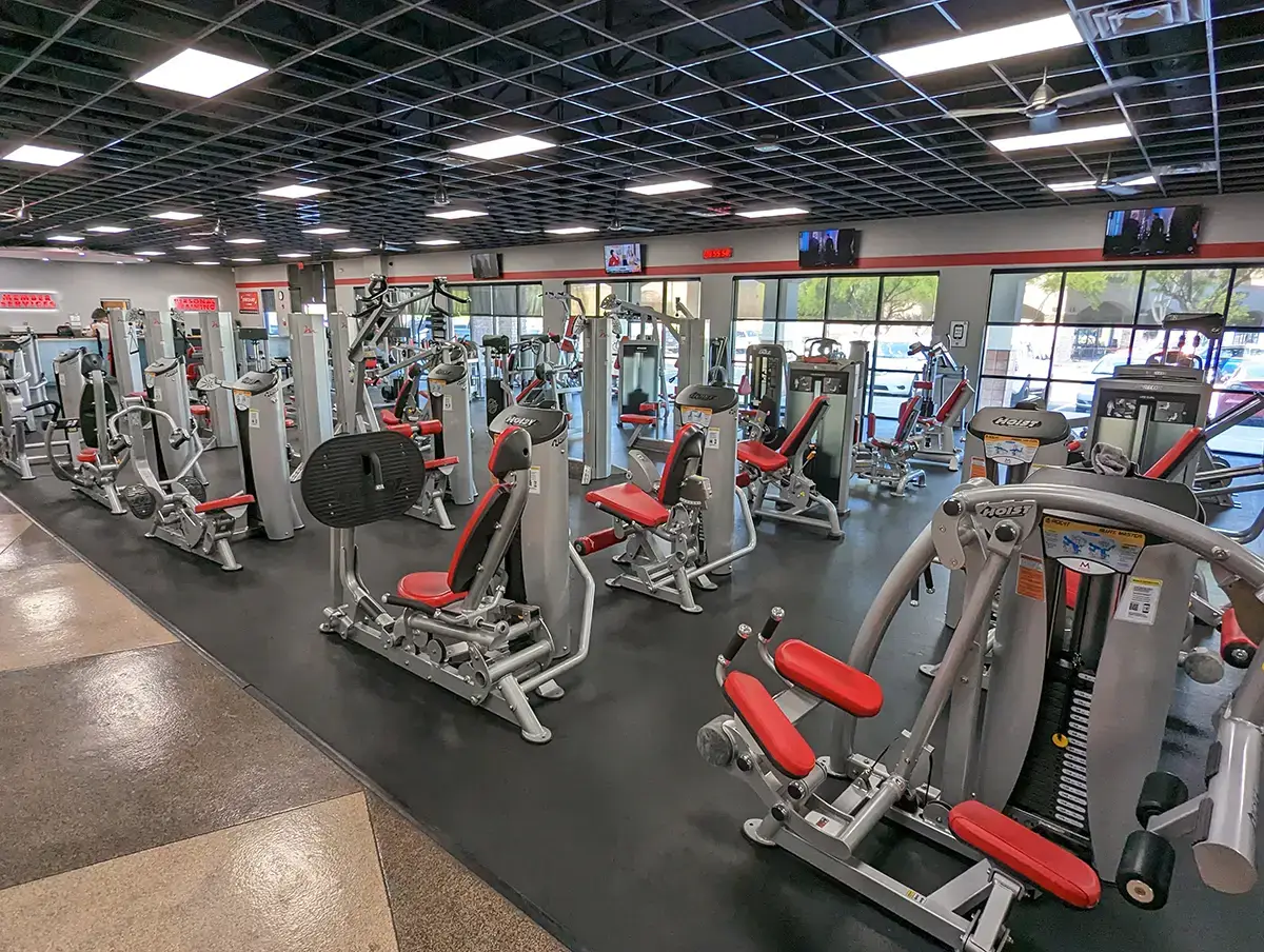 PXL_20230421_155518223