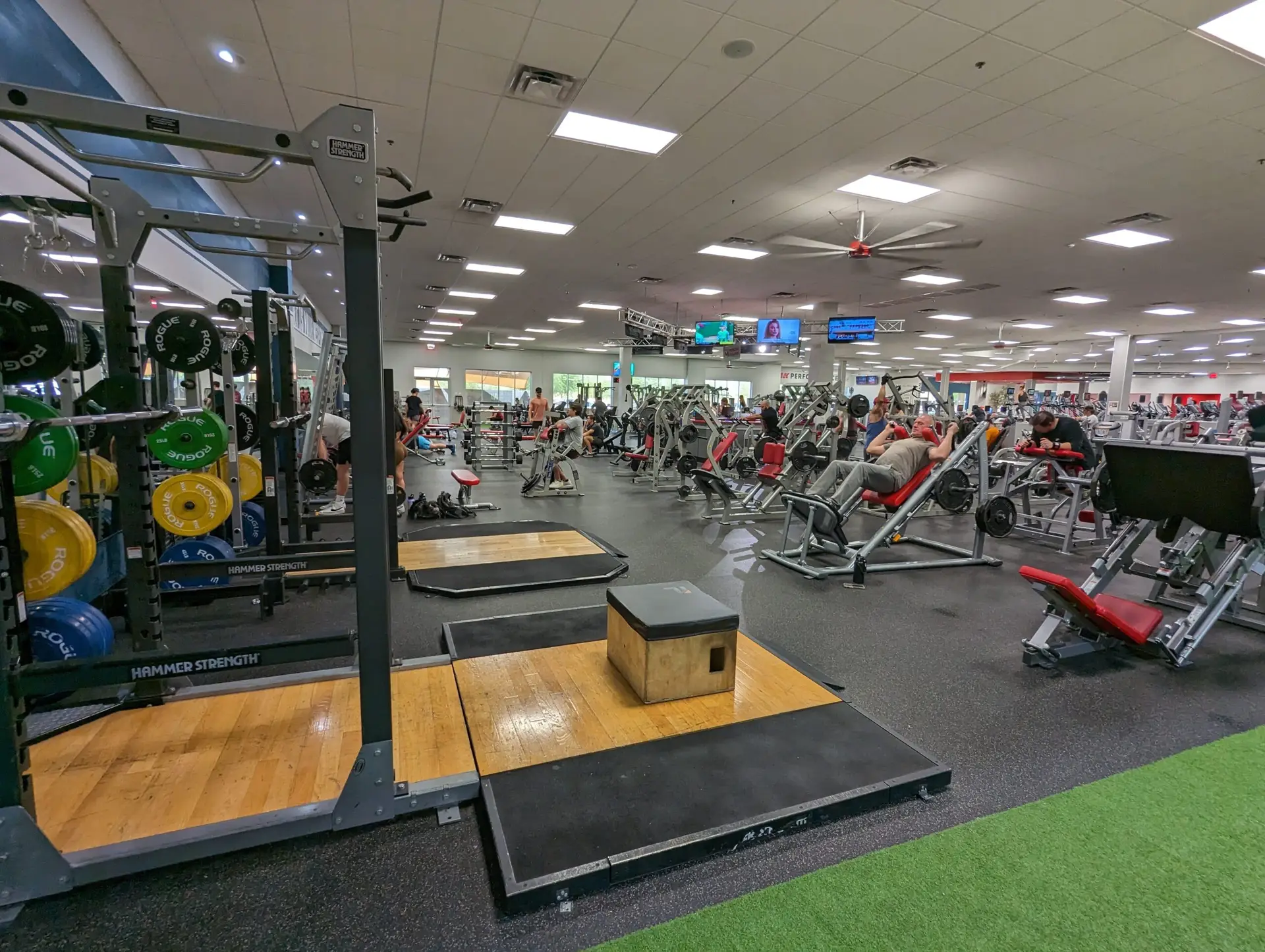 Squat Racks