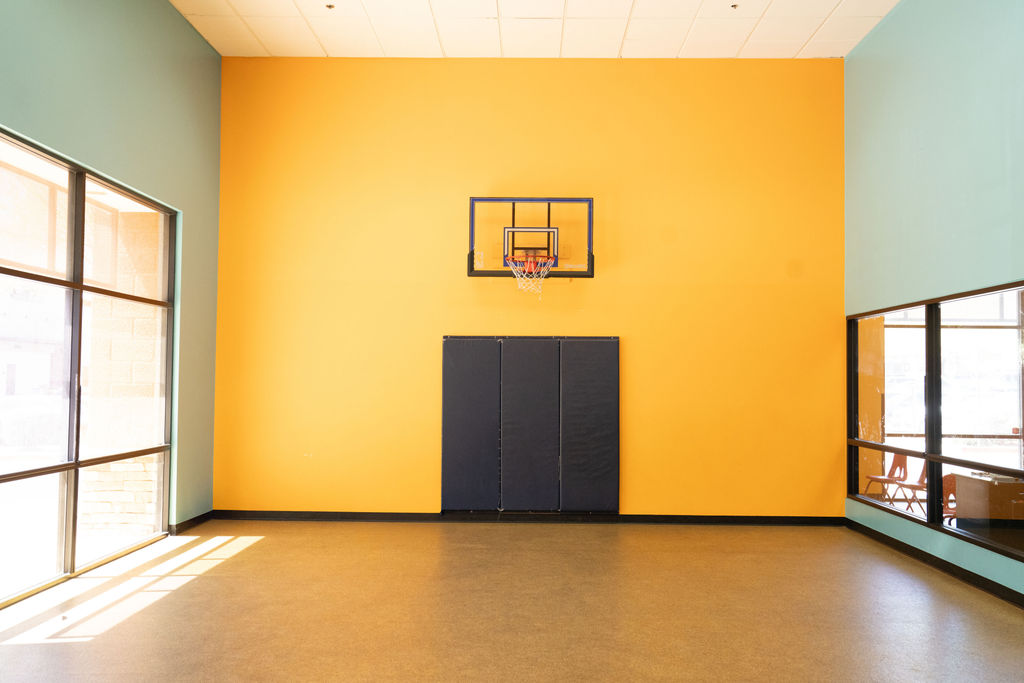 CareFree-MKids Basketball