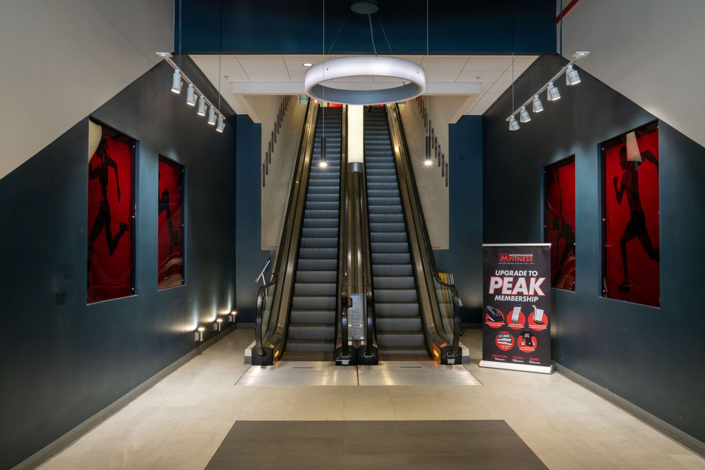 Executive Escalators 2